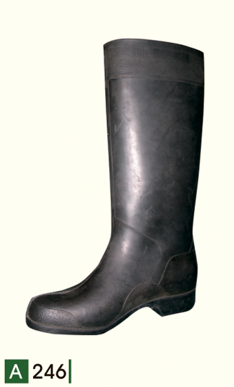 A246