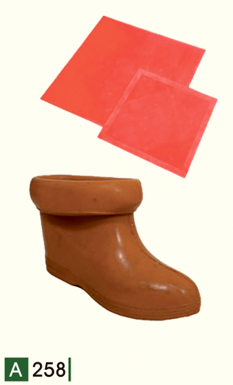 A258