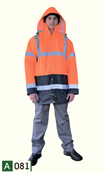 A081